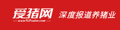 合作媒體